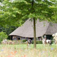 Locaties - Hoevens Aanzicht Opzij